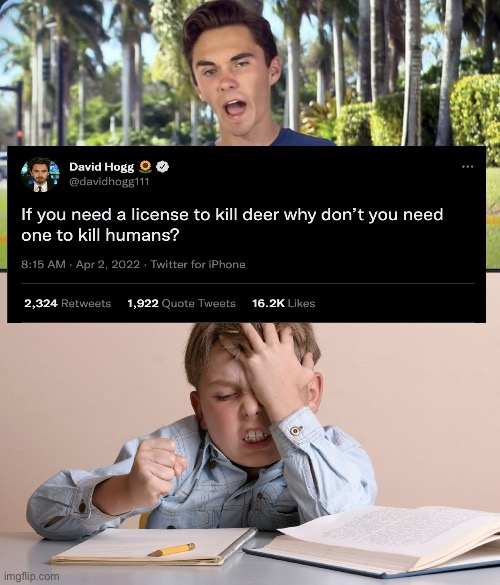 Stupid question | image tagged in david hogg,kid face slap | made w/ Imgflip meme maker