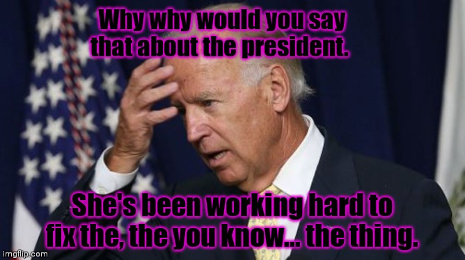 Joe Biden worries | Why why would you say that about the president. She's been working hard to fix the, the you know... the thing. | image tagged in joe biden worries | made w/ Imgflip meme maker