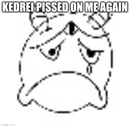 zad | KEDREI PISSED ON ME AGAIN | image tagged in zad | made w/ Imgflip meme maker
