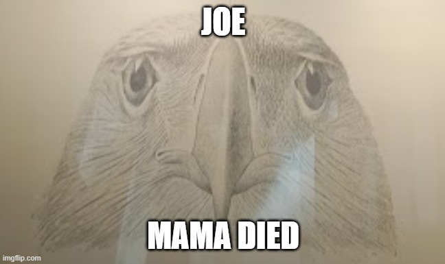 egale | JOE; MAMA DIED | image tagged in egale | made w/ Imgflip meme maker