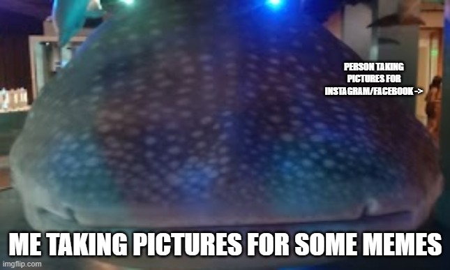 redditors or flippers idk | PERSON TAKING PICTURES FOR INSTAGRAM/FACEBOOK ->; ME TAKING PICTURES FOR SOME MEMES | image tagged in fun | made w/ Imgflip meme maker