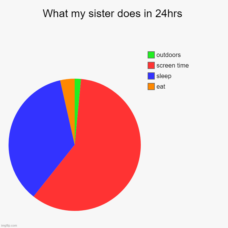 What my sister does in 24hrs | eat, sleep, screen time, outdoors | image tagged in charts,pie charts | made w/ Imgflip chart maker