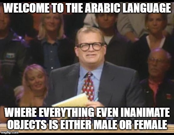 Libtards Go Mad! |  WELCOME TO THE ARABIC LANGUAGE; WHERE EVERYTHING EVEN INANIMATE OBJECTS IS EITHER MALE OR FEMALE | image tagged in whose line is it anyway,arabic,libtards,libtard,liberals,stupid liberals | made w/ Imgflip meme maker