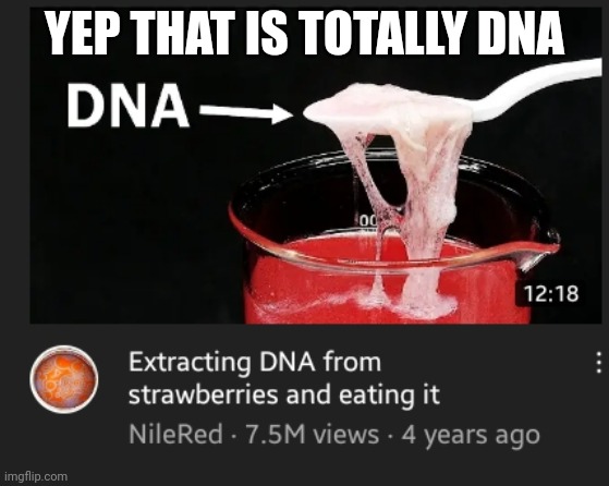 But that DNA isn't from strawberries | YEP THAT IS TOTALLY DNA | made w/ Imgflip meme maker