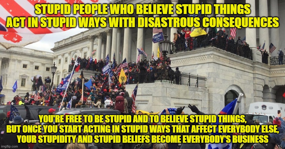 Stupid Is As Stupid Does | STUPID PEOPLE WHO BELIEVE STUPID THINGS ACT IN STUPID WAYS WITH DISASTROUS CONSEQUENCES; YOU'RE FREE TO BE STUPID AND TO BELIEVE STUPID THINGS,
BUT ONCE YOU START ACTING IN STUPID WAYS THAT AFFECT EVERYBODY ELSE,
YOUR STUPIDITY AND STUPID BELIEFS BECOME EVERYBODY'S BUSINESS | image tagged in coup,stupid sheep,beliefs,trump protestors,stupid criminals,forrest gump | made w/ Imgflip meme maker