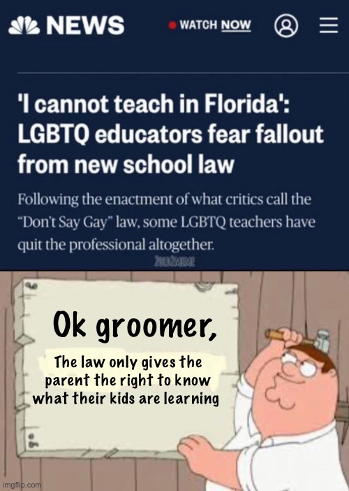Ok groomer, The law only gives the parent the right to know what their kids are learning | image tagged in ok boomer,memes,politics lol | made w/ Imgflip meme maker