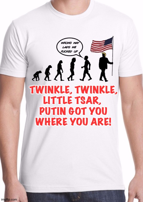 Little Tsar | TWINKLE, TWINKLE,
LITTLE TSAR, 
PUTIN GOT YOU
WHERE YOU ARE! | image tagged in t-shirt | made w/ Imgflip meme maker