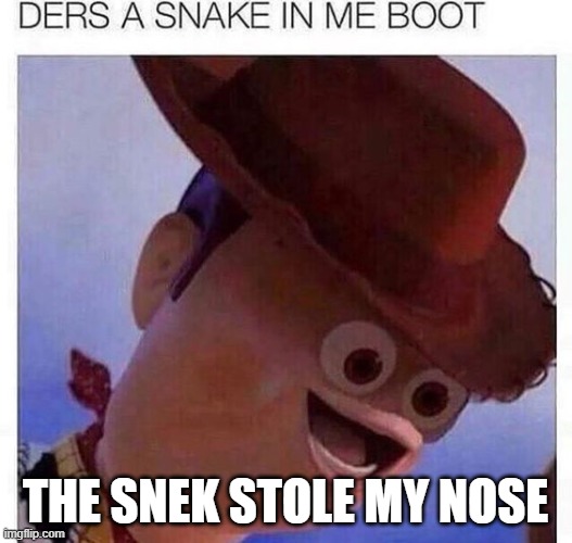 snek | THE SNEK STOLE MY NOSE | image tagged in yeet | made w/ Imgflip meme maker