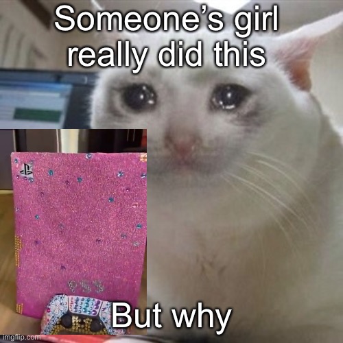 I’m literally crying rn | Someone’s girl really did this; But why | image tagged in crying cat | made w/ Imgflip meme maker