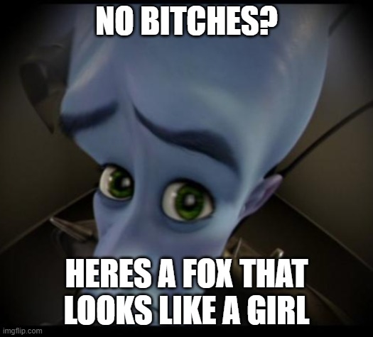 furries (ICU) | NO BITCHES? HERES A FOX THAT LOOKS LIKE A GIRL | image tagged in no bitches | made w/ Imgflip meme maker