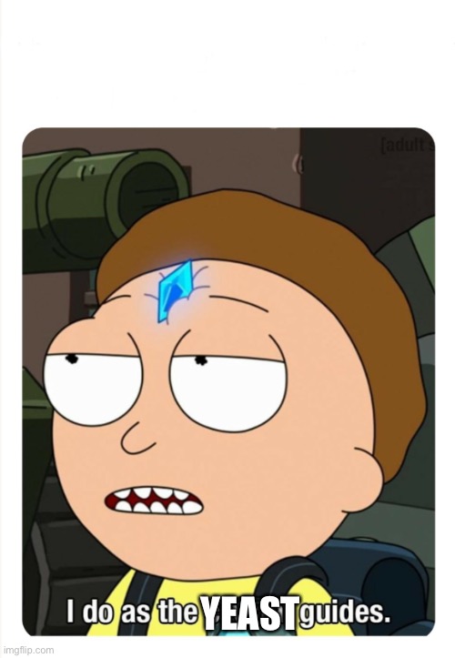 I do as the crystal guides | YEAST | image tagged in i do as the crystal guides | made w/ Imgflip meme maker