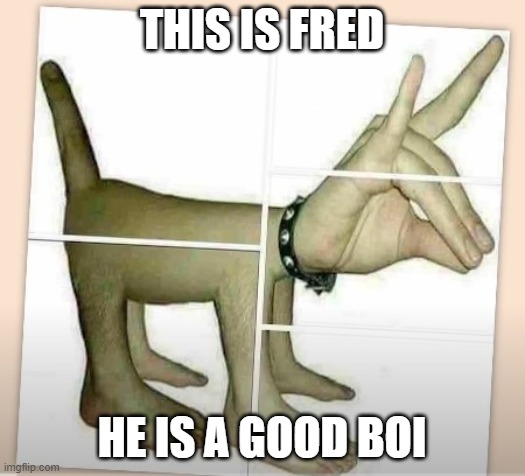 fred the skin dog | THIS IS FRED; HE IS A GOOD BOI | image tagged in expanding brain | made w/ Imgflip meme maker