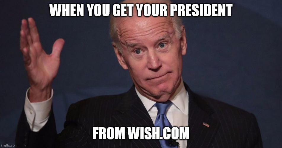 May the Derp Be With You | WHEN YOU GET YOUR PRESIDENT; FROM WISH.COM | image tagged in lets go brandon | made w/ Imgflip meme maker