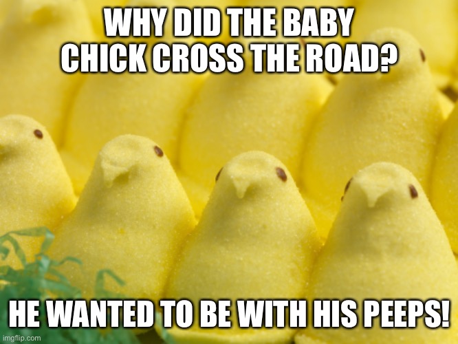 Peeps | WHY DID THE BABY CHICK CROSS THE ROAD? HE WANTED TO BE WITH HIS PEEPS! | image tagged in peeps | made w/ Imgflip meme maker