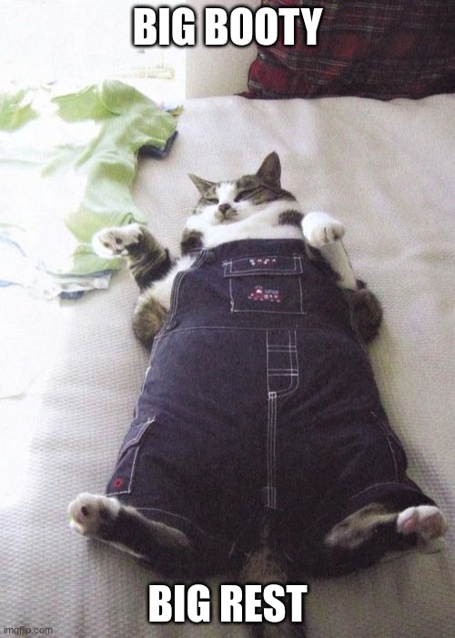 Fat Cat Meme | BIG BOOTY; BIG REST | image tagged in memes,fat cat | made w/ Imgflip meme maker