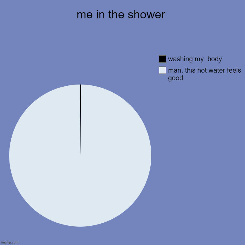 me in the shower | me in the shower | man, this hot water feels good, washing my  body | image tagged in charts,pie charts | made w/ Imgflip chart maker