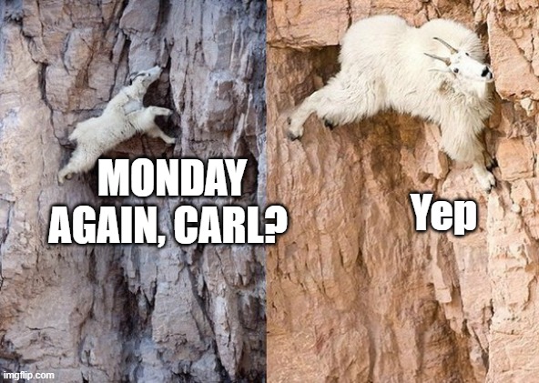 MONDAY AGAIN | Yep; MONDAY
AGAIN, CARL? | image tagged in funny,goats,mountain,cliff,cliffs,monday | made w/ Imgflip meme maker