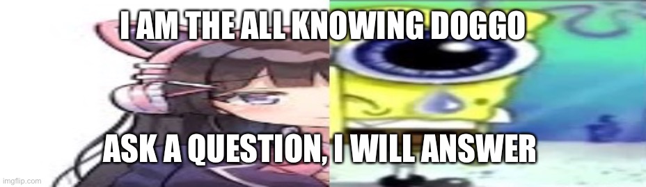 lol | I AM THE ALL KNOWING DOGGO; ASK A QUESTION, I WILL ANSWER | image tagged in lol | made w/ Imgflip meme maker
