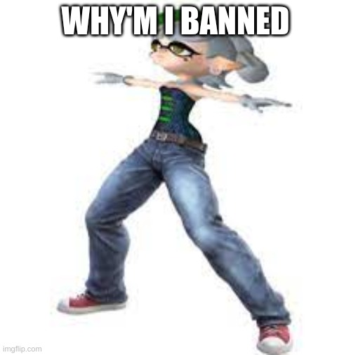 marie sploon | WHY'M I BANNED | image tagged in marie sploon | made w/ Imgflip meme maker