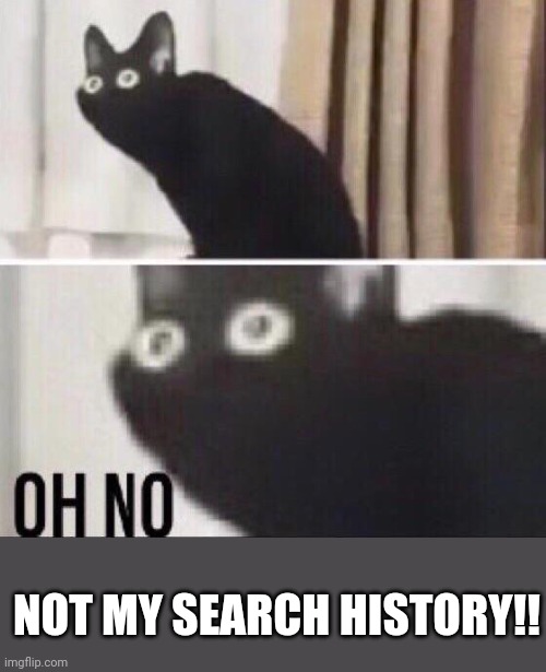 Oh no cat | NOT MY SEARCH HISTORY!! | image tagged in oh no cat | made w/ Imgflip meme maker