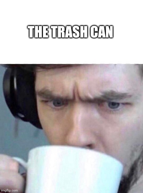 Concerned Sean | THE TRASH CAN | image tagged in concerned sean | made w/ Imgflip meme maker