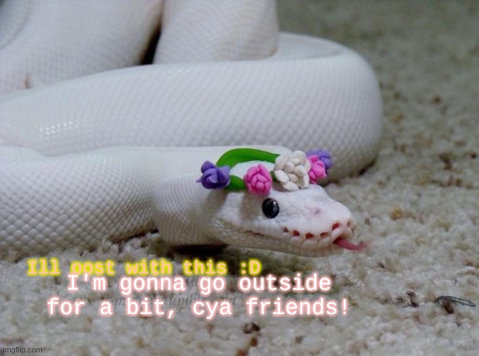 snek | I'm gonna go outside for a bit, cya friends! Ill post with this :D | image tagged in snek | made w/ Imgflip meme maker