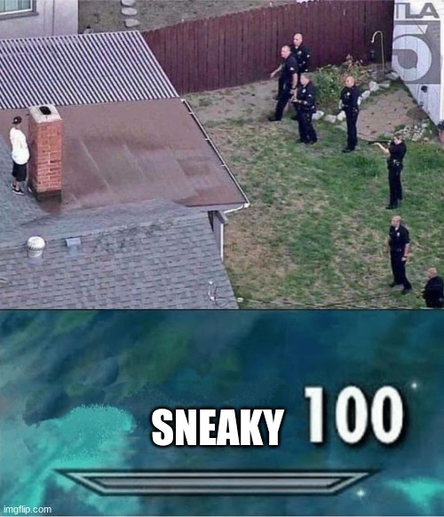 how much u wanna bet he payed the person to make the chimney his height | SNEAKY | image tagged in fortnite meme,skyrim 100 blank | made w/ Imgflip meme maker