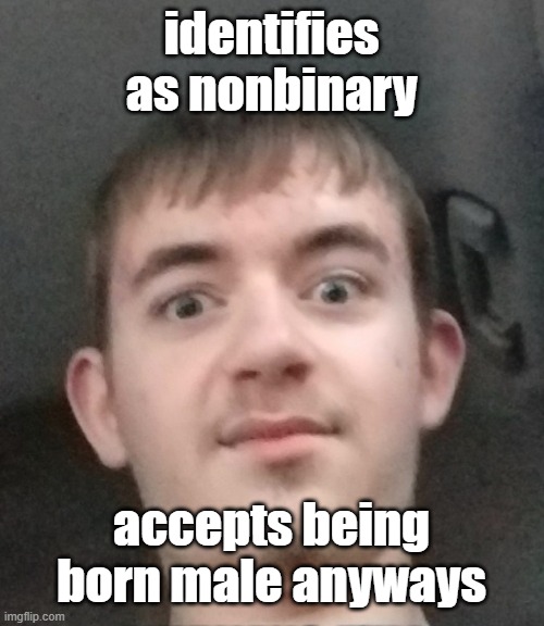 joshyyyyy | identifies as nonbinary; accepts being born male anyways | image tagged in joshyyyyy | made w/ Imgflip meme maker