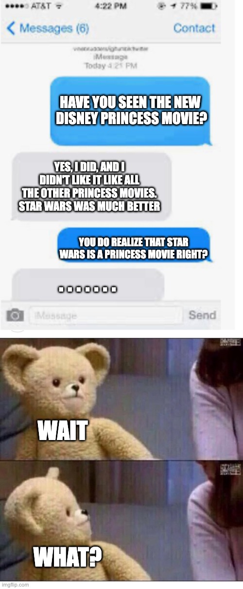 Excuse Me? | HAVE YOU SEEN THE NEW 
DISNEY PRINCESS MOVIE? YES, I DID, AND I DIDN'T LIKE IT LIKE ALL THE OTHER PRINCESS MOVIES. STAR WARS WAS MUCH BETTER; YOU DO REALIZE THAT STAR WARS IS A PRINCESS MOVIE RIGHT? . . . . . . . WAIT; WHAT? | image tagged in blank text conversation,wait what,star wars,memes,funny,relatable | made w/ Imgflip meme maker