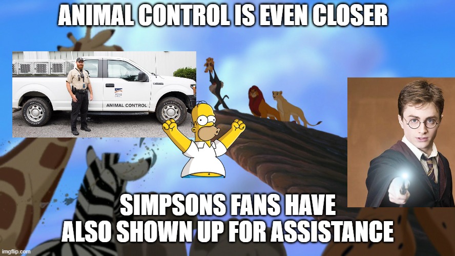 If anyone comments this, the Lion King is a piece of trash | ANIMAL CONTROL IS EVEN CLOSER; SIMPSONS FANS HAVE ALSO SHOWN UP FOR ASSISTANCE | image tagged in lion king,memes,president_joe_biden | made w/ Imgflip meme maker