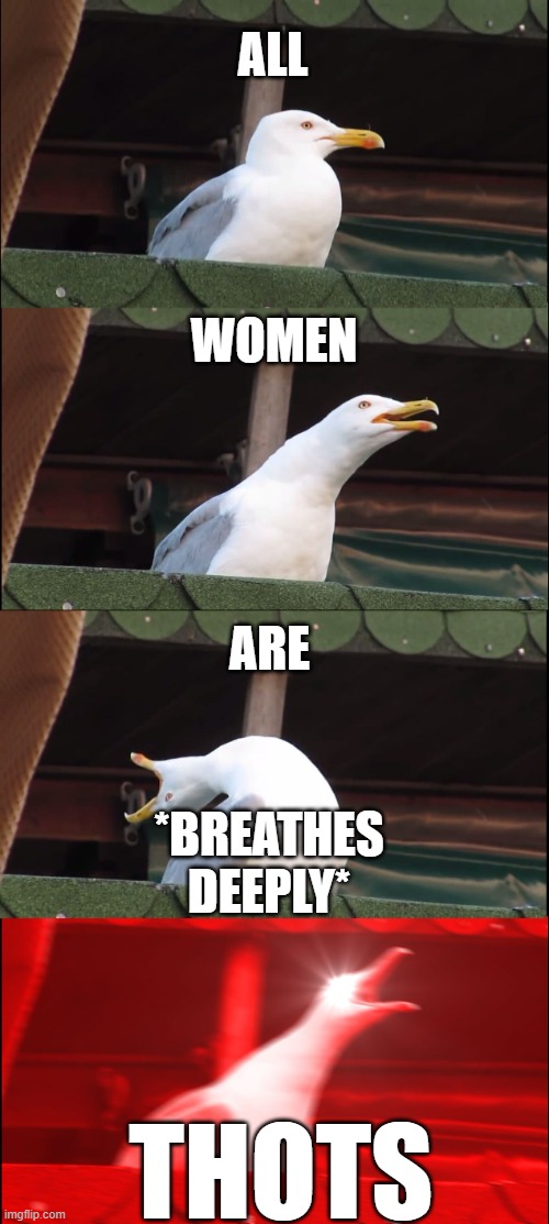 Inhaling Seagull Meme | ALL; WOMEN; ARE; *BREATHES DEEPLY*; THOTS | image tagged in memes,inhaling seagull,thots,seagull,begone thot | made w/ Imgflip meme maker