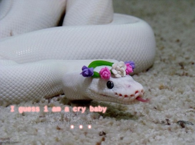 snek! | ... I guess i am a cry baby | image tagged in snek | made w/ Imgflip meme maker