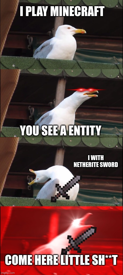 nothing | I PLAY MINECRAFT; YOU SEE A ENTITY; I WITH NETHERITE SWORD; COME HERE LITTLE SH**T | image tagged in memes,inhaling seagull | made w/ Imgflip meme maker