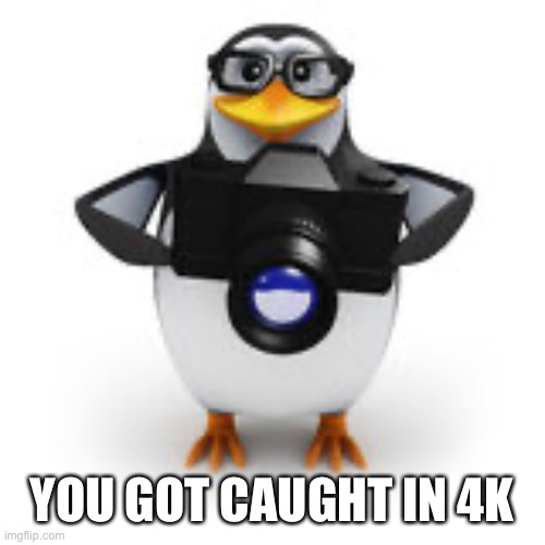 Caught in 4k | YOU GOT CAUGHT IN 4K | image tagged in caught in 4k | made w/ Imgflip meme maker