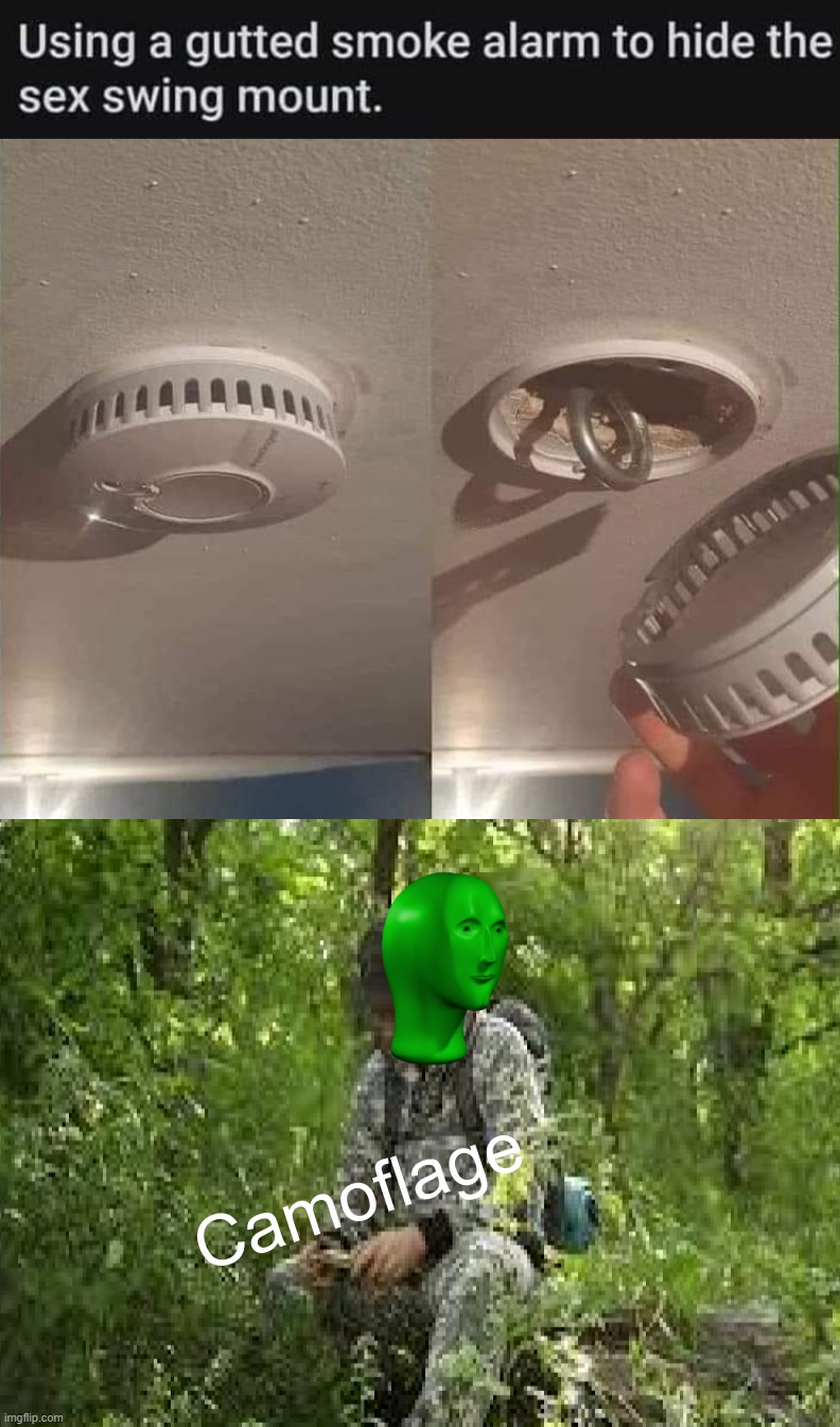 Smort | image tagged in camoflage,hiding | made w/ Imgflip meme maker