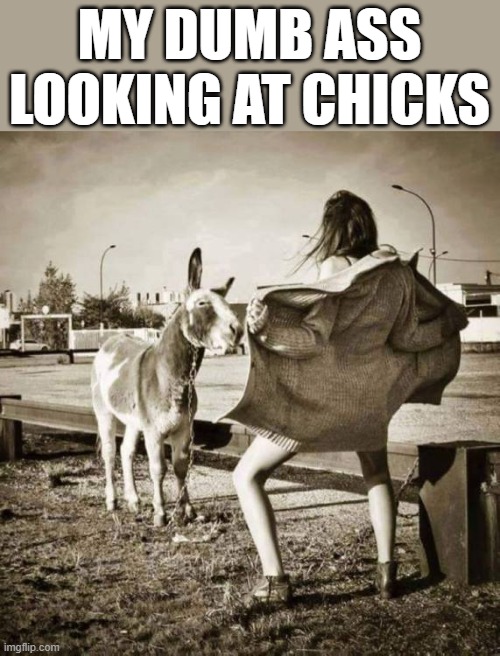 MY DUMB ASS LOOKING AT CHICKS | image tagged in donkey | made w/ Imgflip meme maker