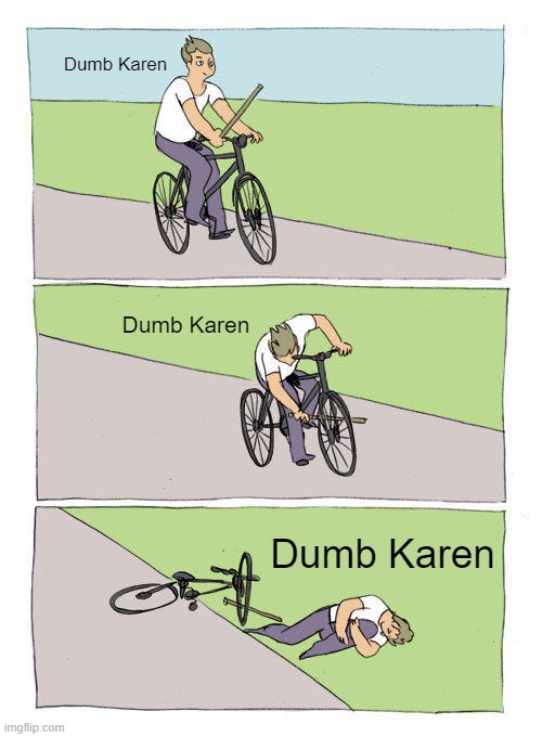 Dumb Karen | Dumb Karen; Dumb Karen; Dumb Karen | image tagged in memes,bike fall | made w/ Imgflip meme maker