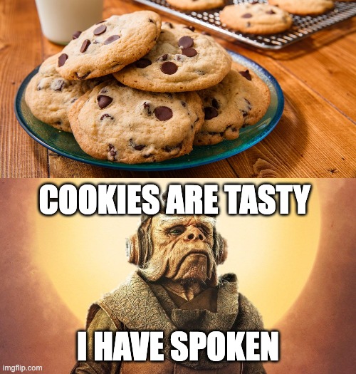 yes cookies | COOKIES ARE TASTY; I HAVE SPOKEN | image tagged in cookies,true,star wars,relatable,funny,memes | made w/ Imgflip meme maker