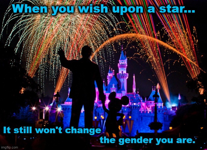 When You Wish Upon a Disney Gender Neutral Star | When you wish upon a star... It still won't change 
                                the gender you are. | image tagged in disneyland,gender,fireworks,gender politics,disneyworld,walt disney | made w/ Imgflip meme maker