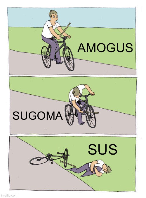 WHEN THE IMPOSTER IS SUS | AMOGUS; SUGOMA; SUS | image tagged in memes,bike fall | made w/ Imgflip meme maker