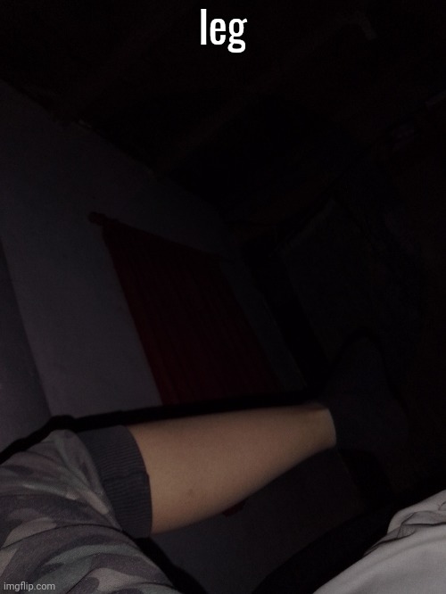 leg | made w/ Imgflip meme maker