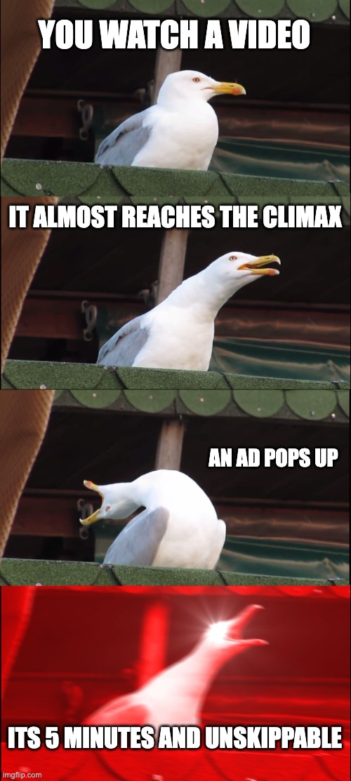 Inhaling Seagull | YOU WATCH A VIDEO; IT ALMOST REACHES THE CLIMAX; AN AD POPS UP; ITS 5 MINUTES AND UNSKIPPABLE | image tagged in memes,inhaling seagull | made w/ Imgflip meme maker