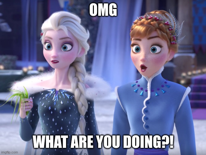 Elsa and Anna SHOCKED! | OMG; WHAT ARE YOU DOING?! | image tagged in elsa and anna shocked | made w/ Imgflip meme maker