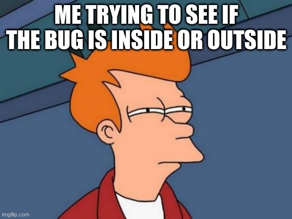 Futurama Fry Meme | ME TRYING TO SEE IF THE BUG IS INSIDE OR OUTSIDE | image tagged in memes,futurama fry | made w/ Imgflip meme maker
