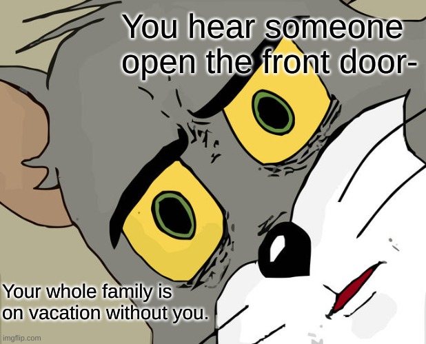 Home 'alone' | You hear someone open the front door-; Your whole family is on vacation without you. | image tagged in memes,unsettled tom | made w/ Imgflip meme maker