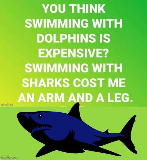 Expensive ! | image tagged in sharks | made w/ Imgflip meme maker