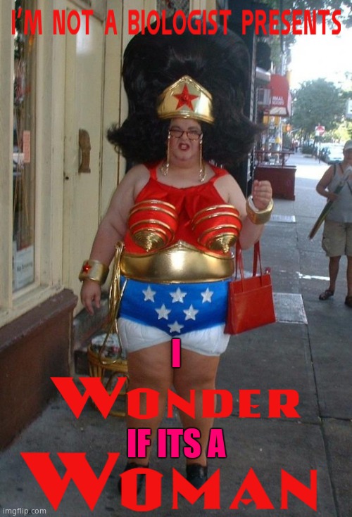 Wonder Away | IF ITS A; I | image tagged in wonder woman,biology,scotus,political meme | made w/ Imgflip meme maker