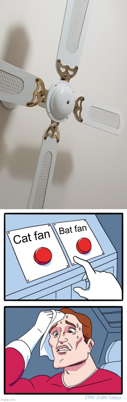 Similar Looks | Bat fan; Cat fan | image tagged in memes,two buttons,meme,humor | made w/ Imgflip meme maker