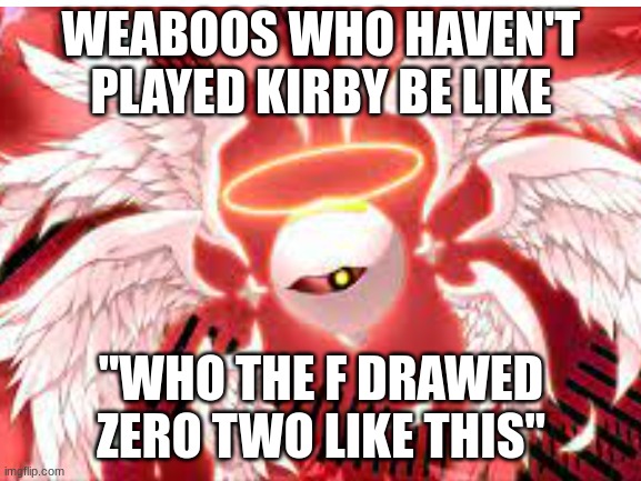 WEABOOS WHO HAVEN'T PLAYED KIRBY BE LIKE; "WHO THE F DRAWED ZERO TWO LIKE THIS" | image tagged in memes | made w/ Imgflip meme maker