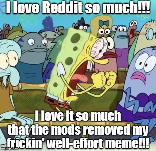Angery | I love Reddit so much!!! I love it so much that the mods removed my frickin' well-effort meme!!! | image tagged in meme,reddit,tiktok sucks,dank,honk,i exist | made w/ Imgflip meme maker